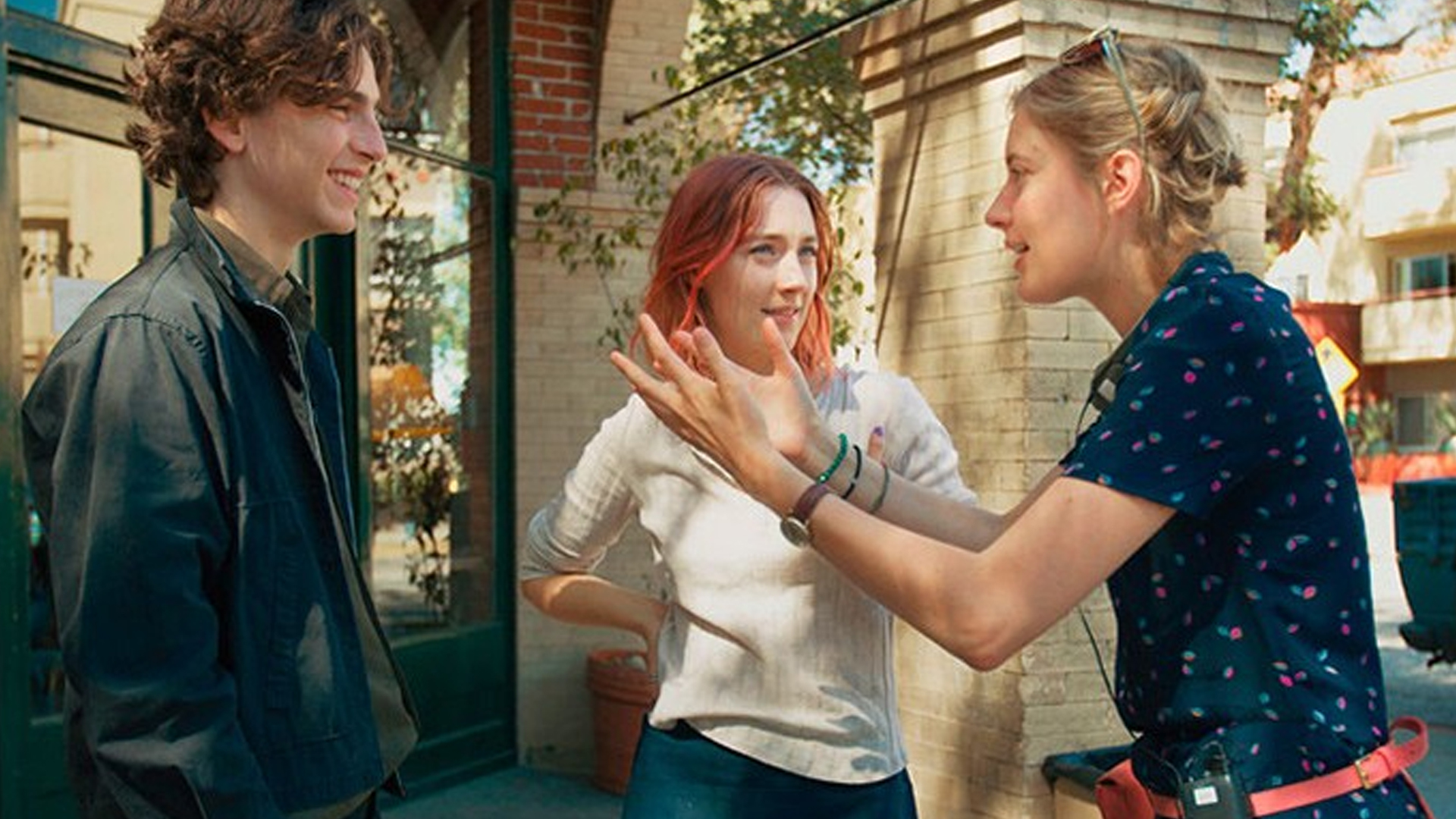 فیلم تینیجری Lady Bird