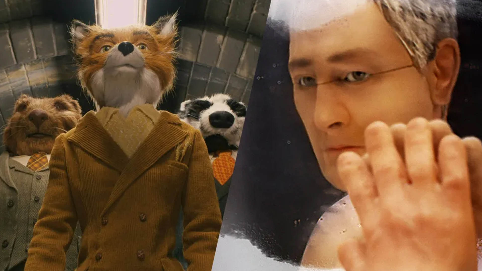 10تا از بهترین انیمیشن های بزرگسالان+ خلاصه داستان