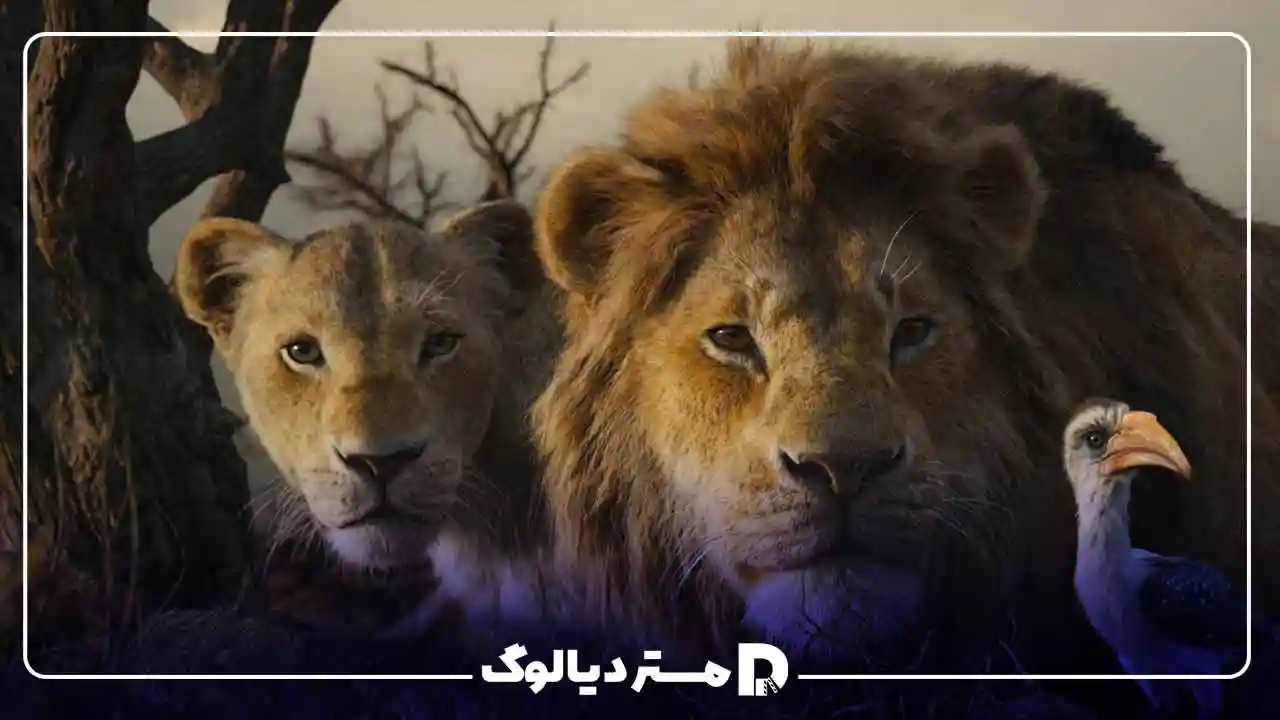 لایو اکشن The Lion King