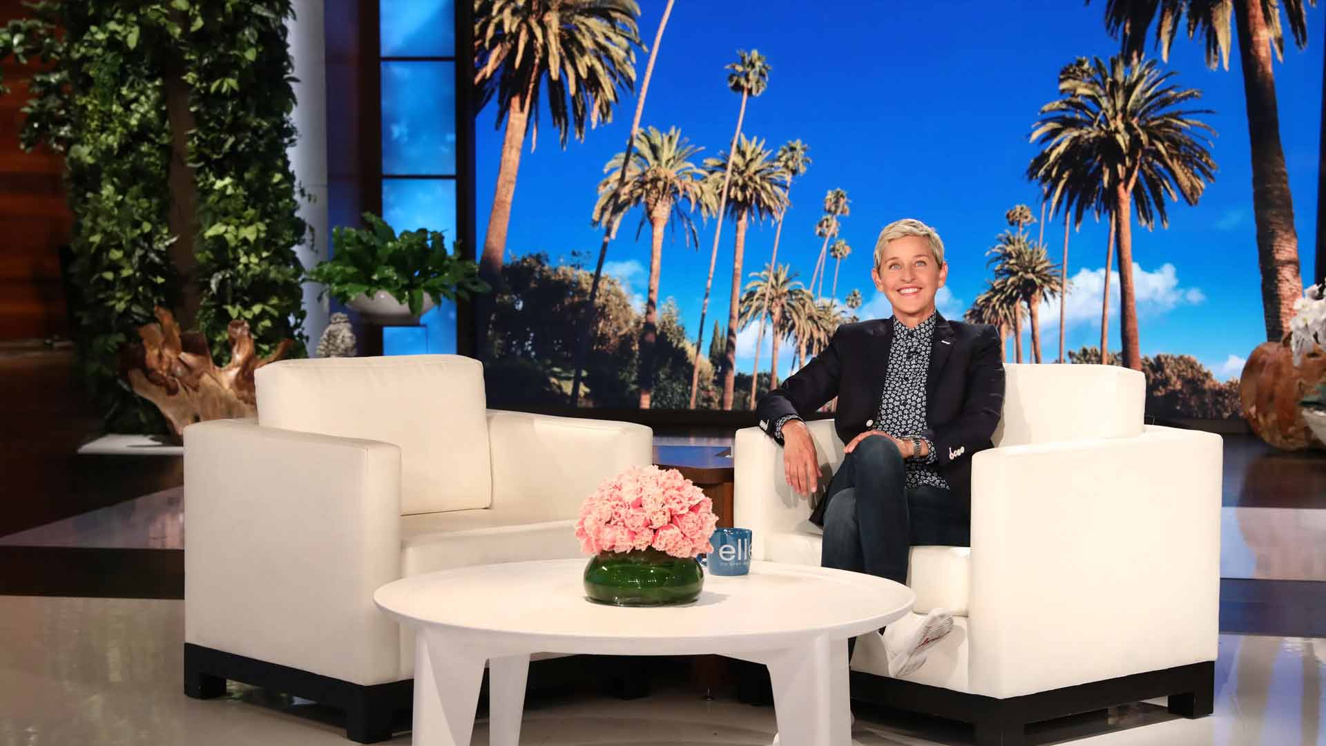 تاک شو خارجی The Ellen Show