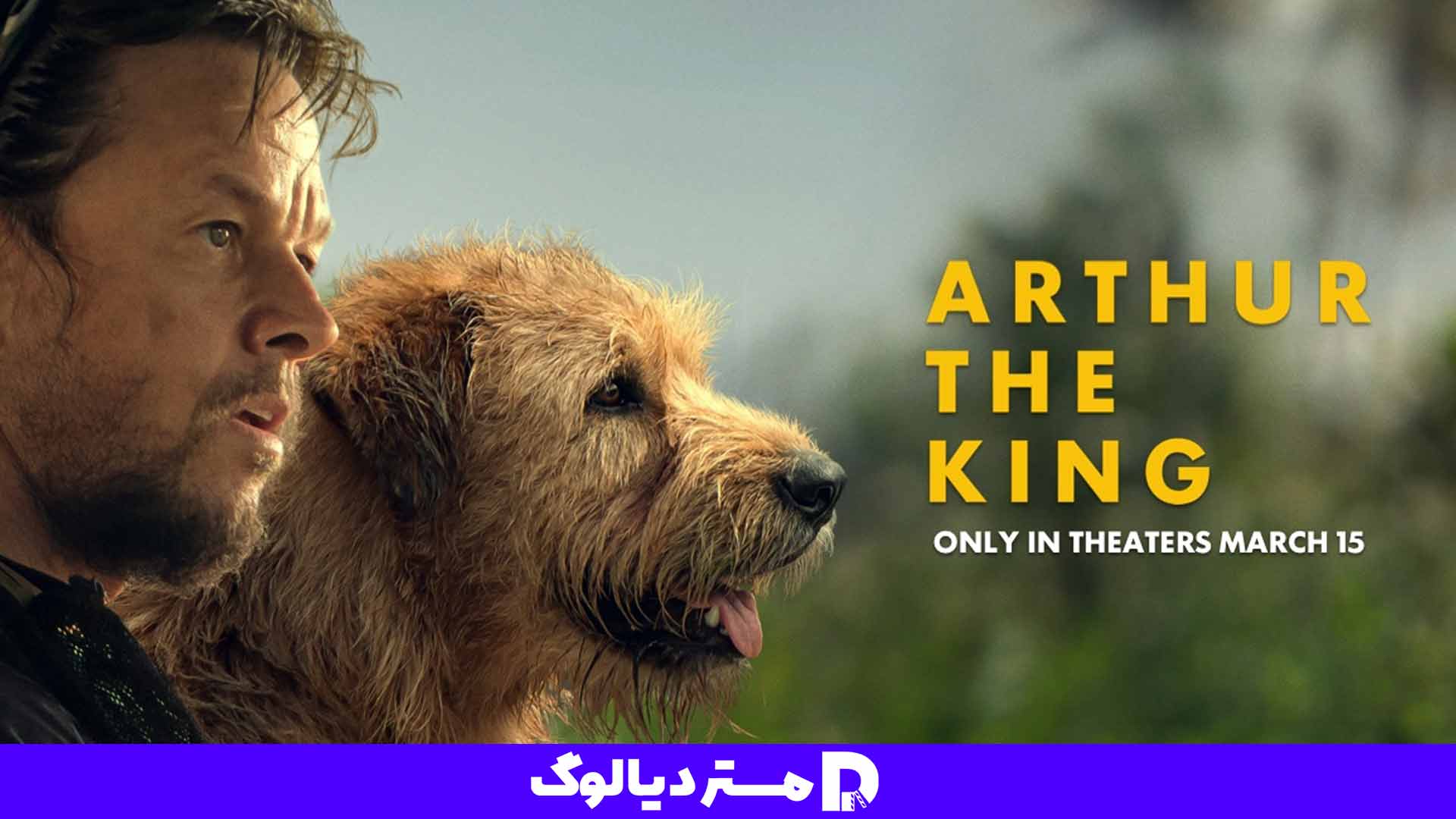 فیلم Arthur the King