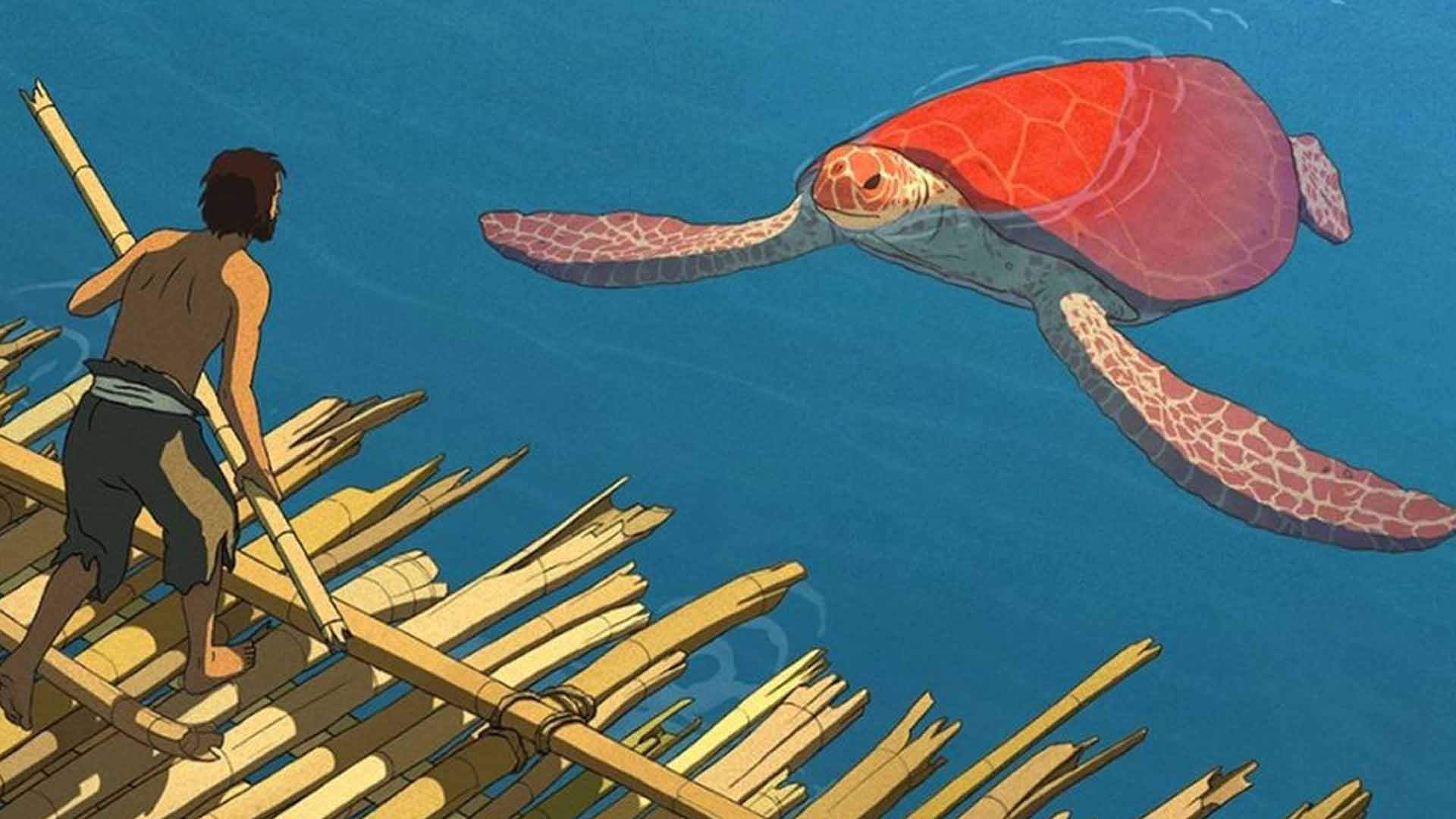 معرفی و نقد انیمه لاک پشت قرمز؛ La Tortue Rogue+ خلاصه داستان